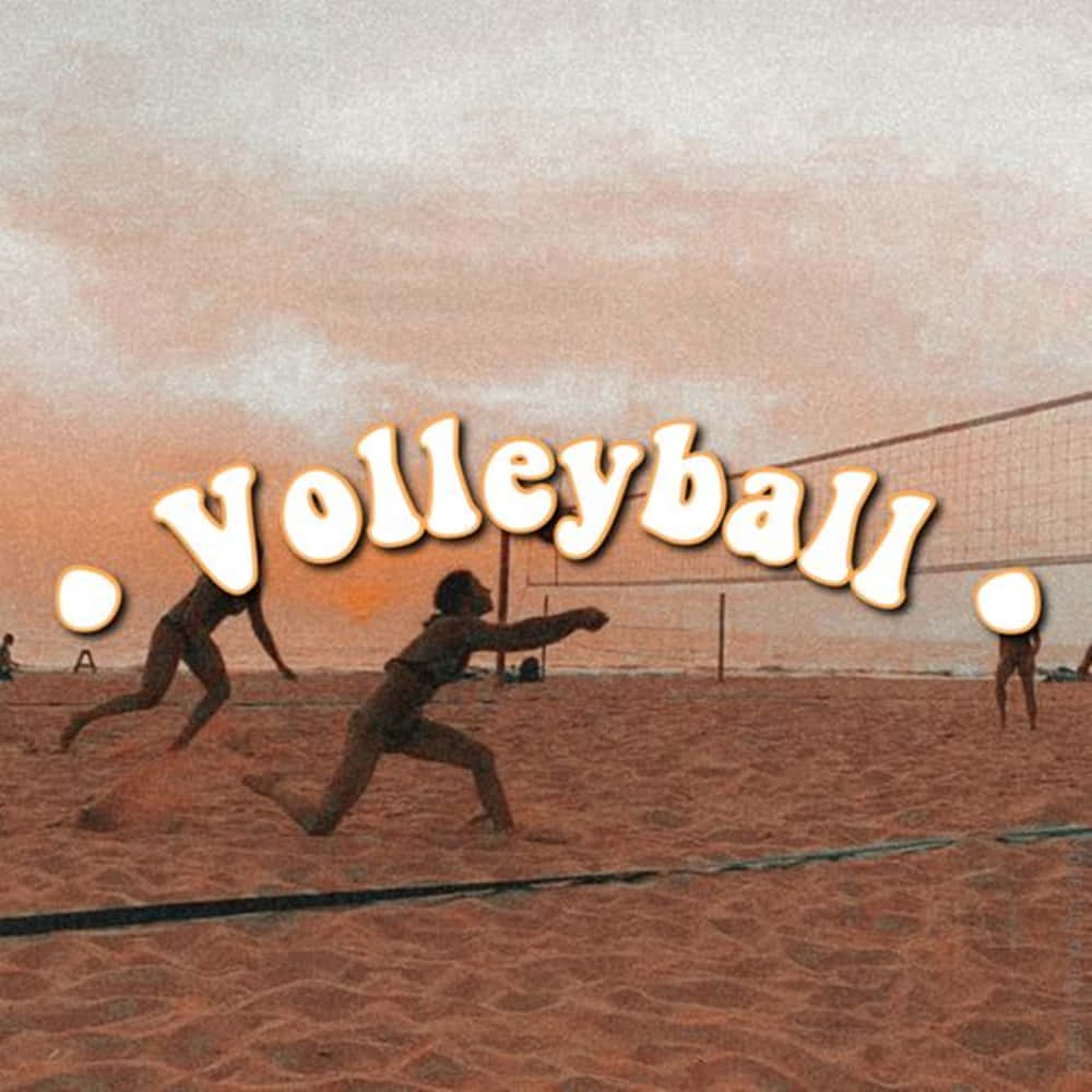 Cute Volleyball Wallpaper
