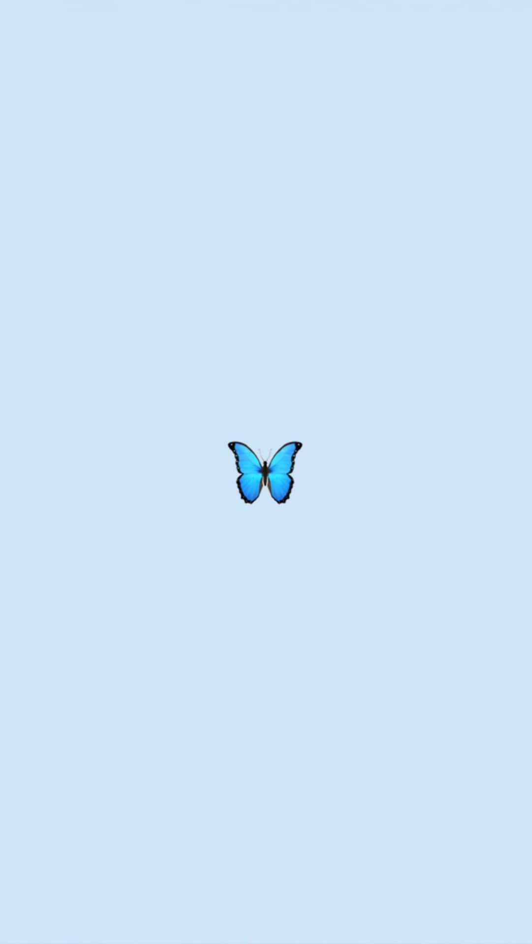 Cute Vsco Blue Butterfly Aesthetic Wallpaper