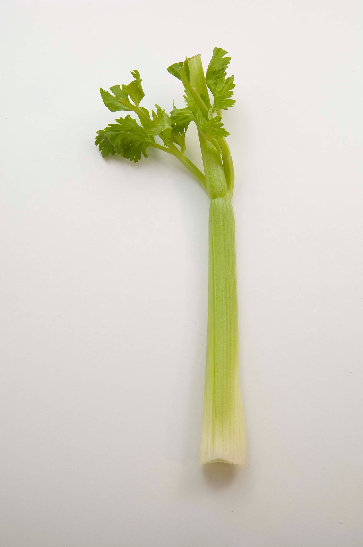 Cute Waving Celery Stalk Wallpaper