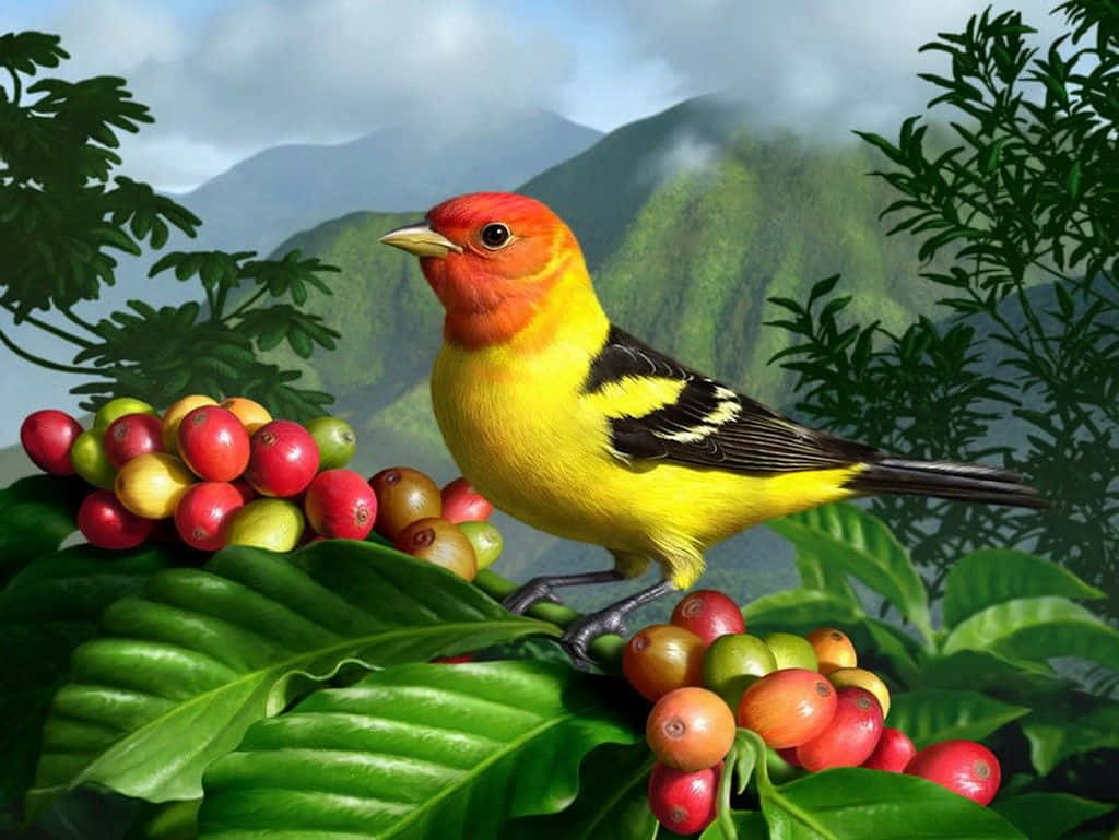 Cute Western Bird Nature Wallpaper