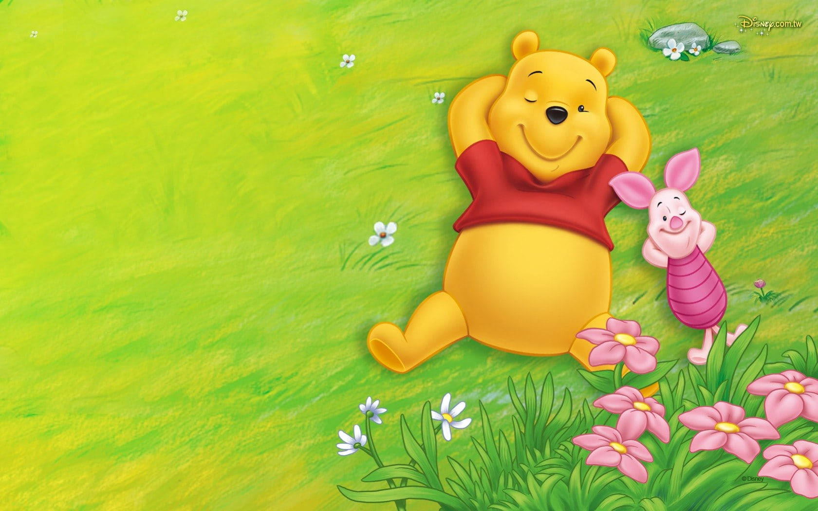 Cute Winnie The Pooh Lying In Grass Background