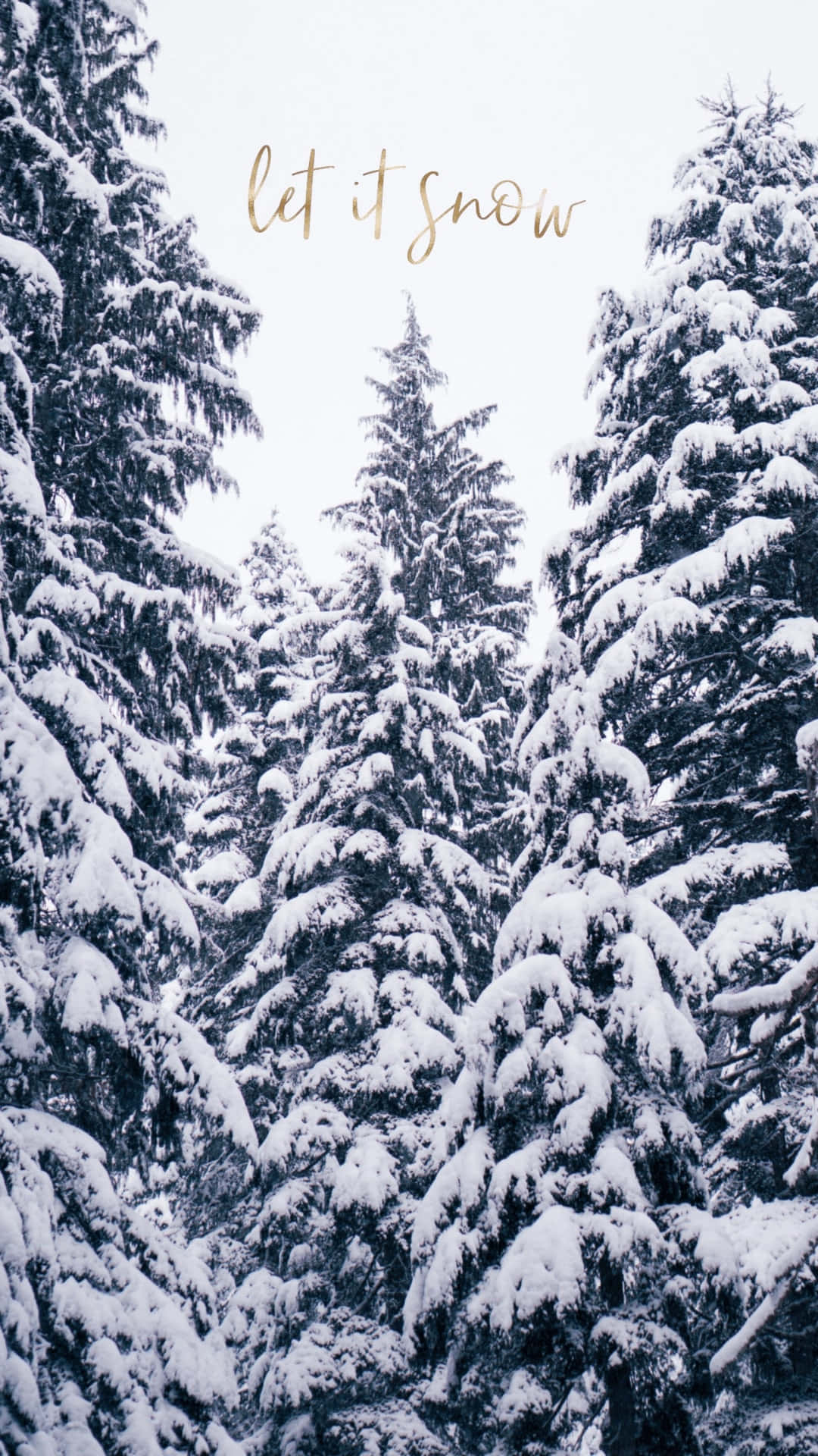 Cozy Winter Wonderland in the Forest Wallpaper