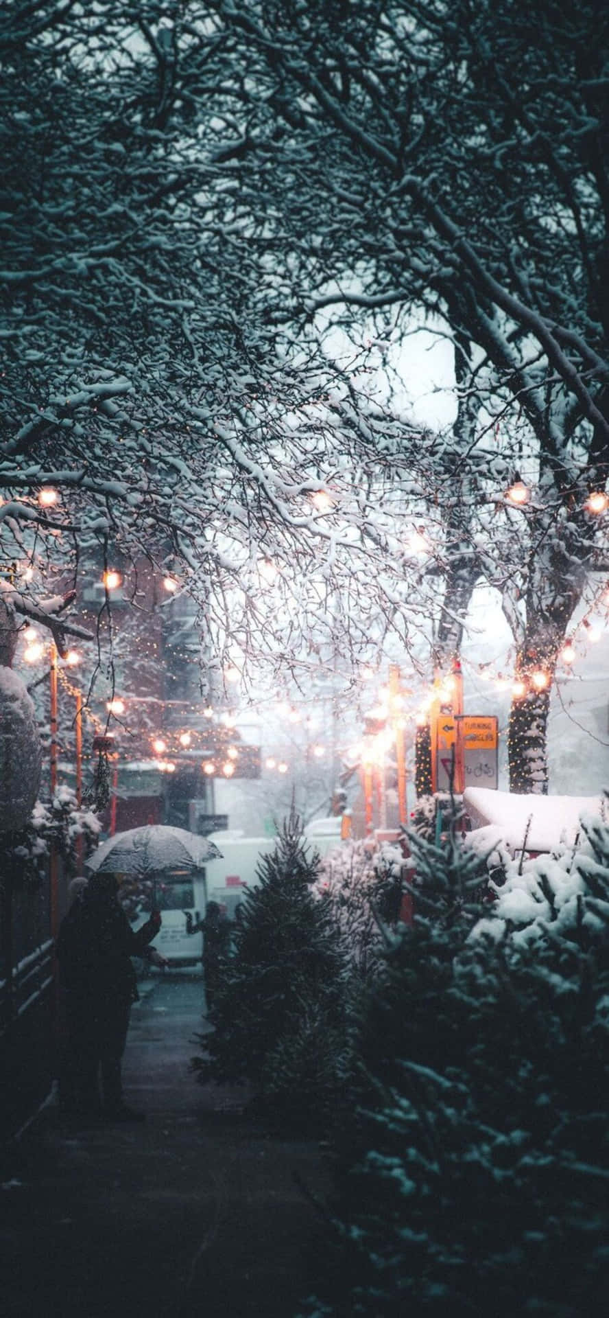 Cozy Wintertime Moments Wallpaper