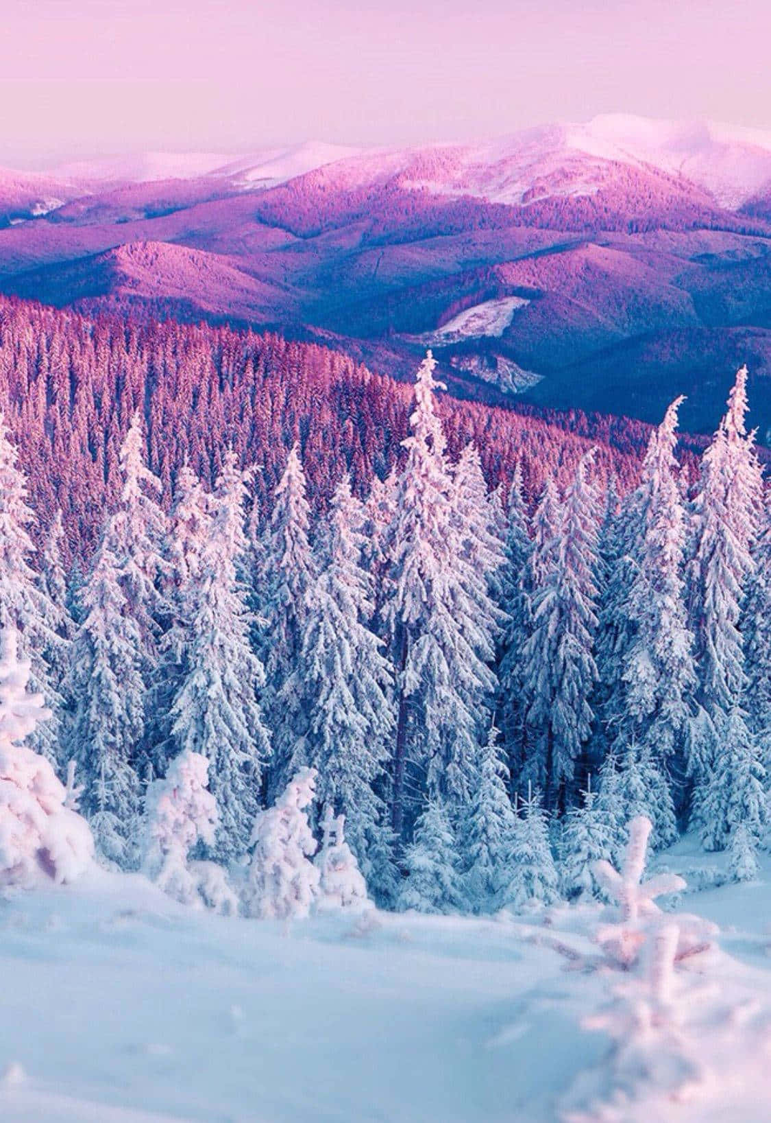 Fondode Pantalla Lindo De Invierno Con Montañas Rosa Y Azul.