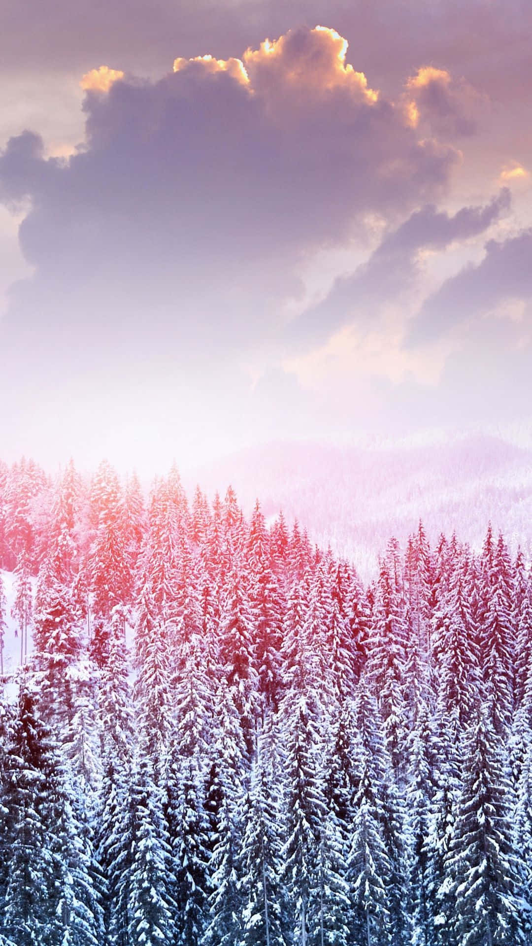Cute Winter Snow Trees Background