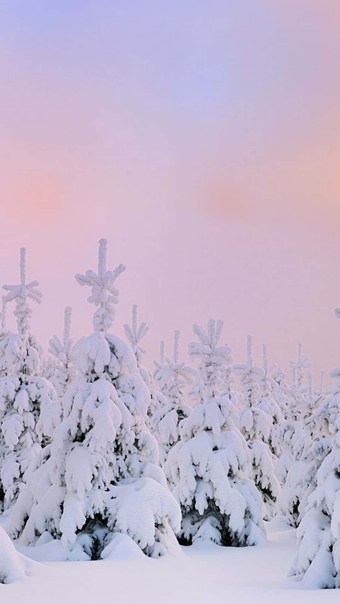 Cute Winter Pink Sky Background