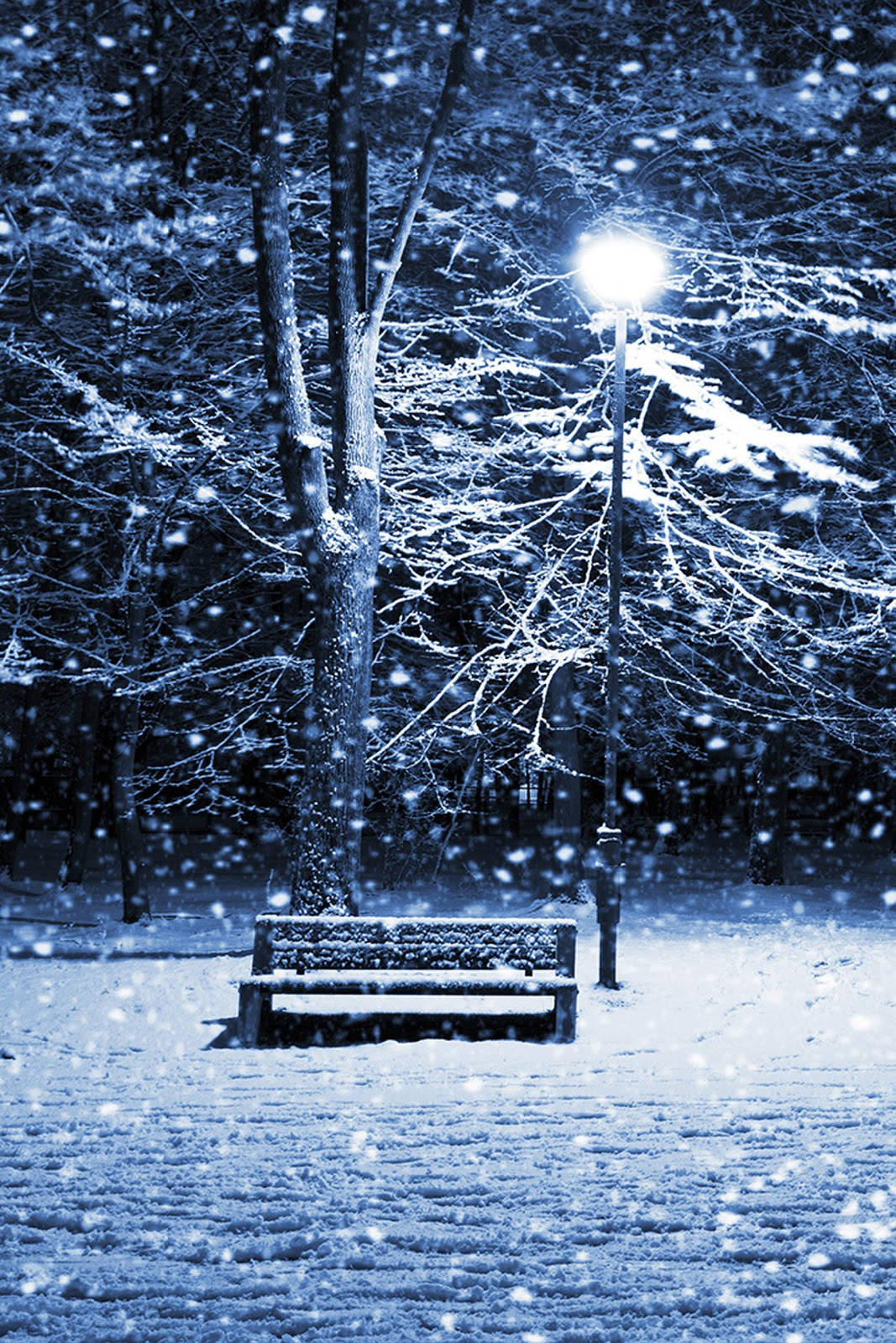 Cute Winter iPhone Bench In Forest Wallpaper