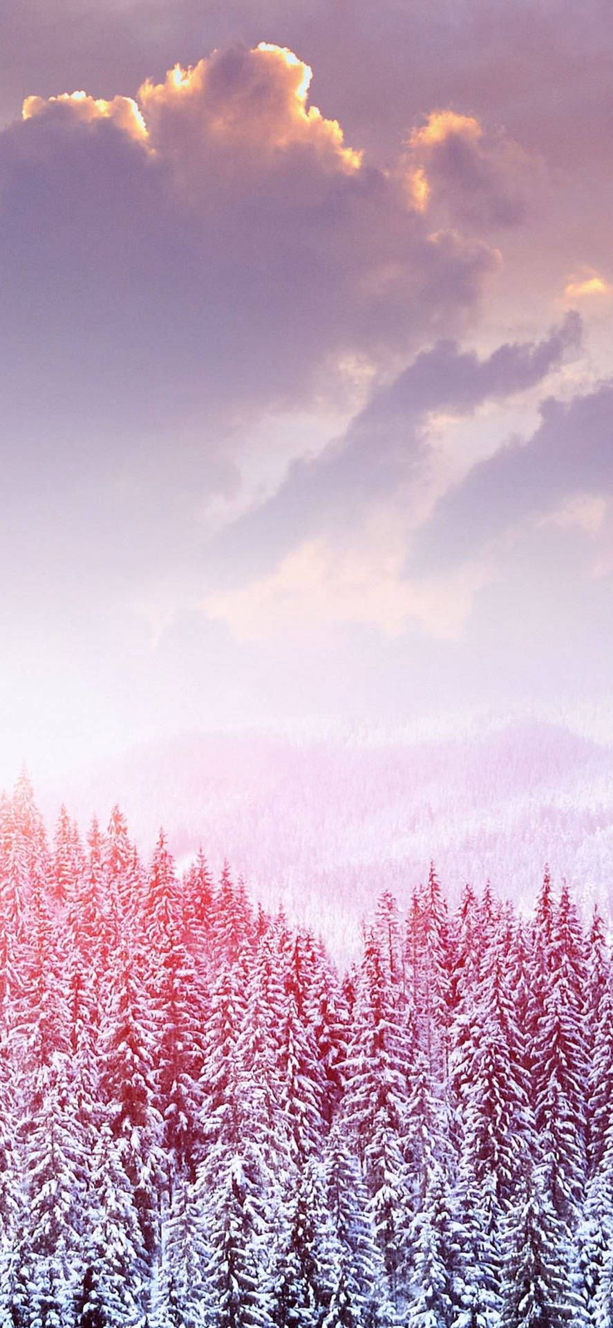 Cute Winter Iphone - Cozily Celebrate the Season! Wallpaper
