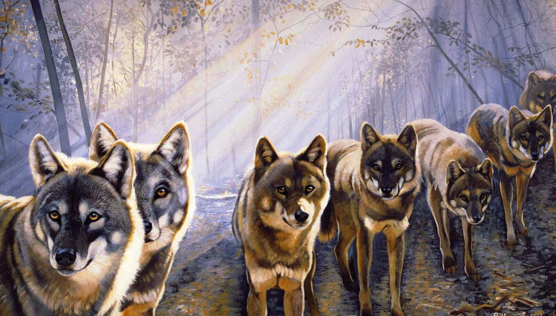 Cute Wolves With Sunlight Wallpaper