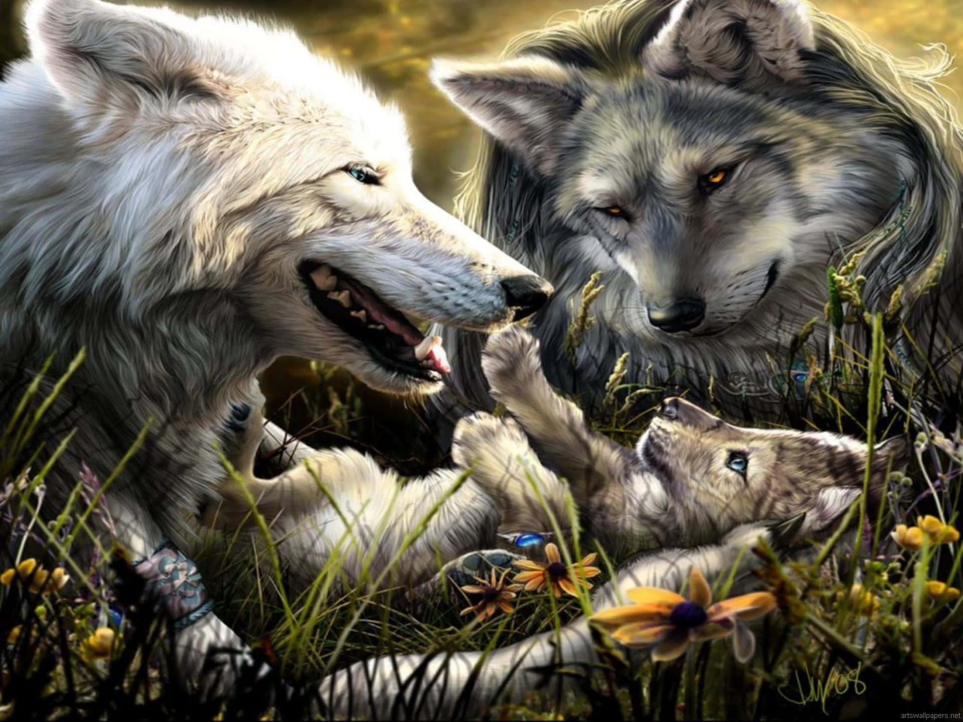 Cute Wolves Looking At Pup Wallpaper