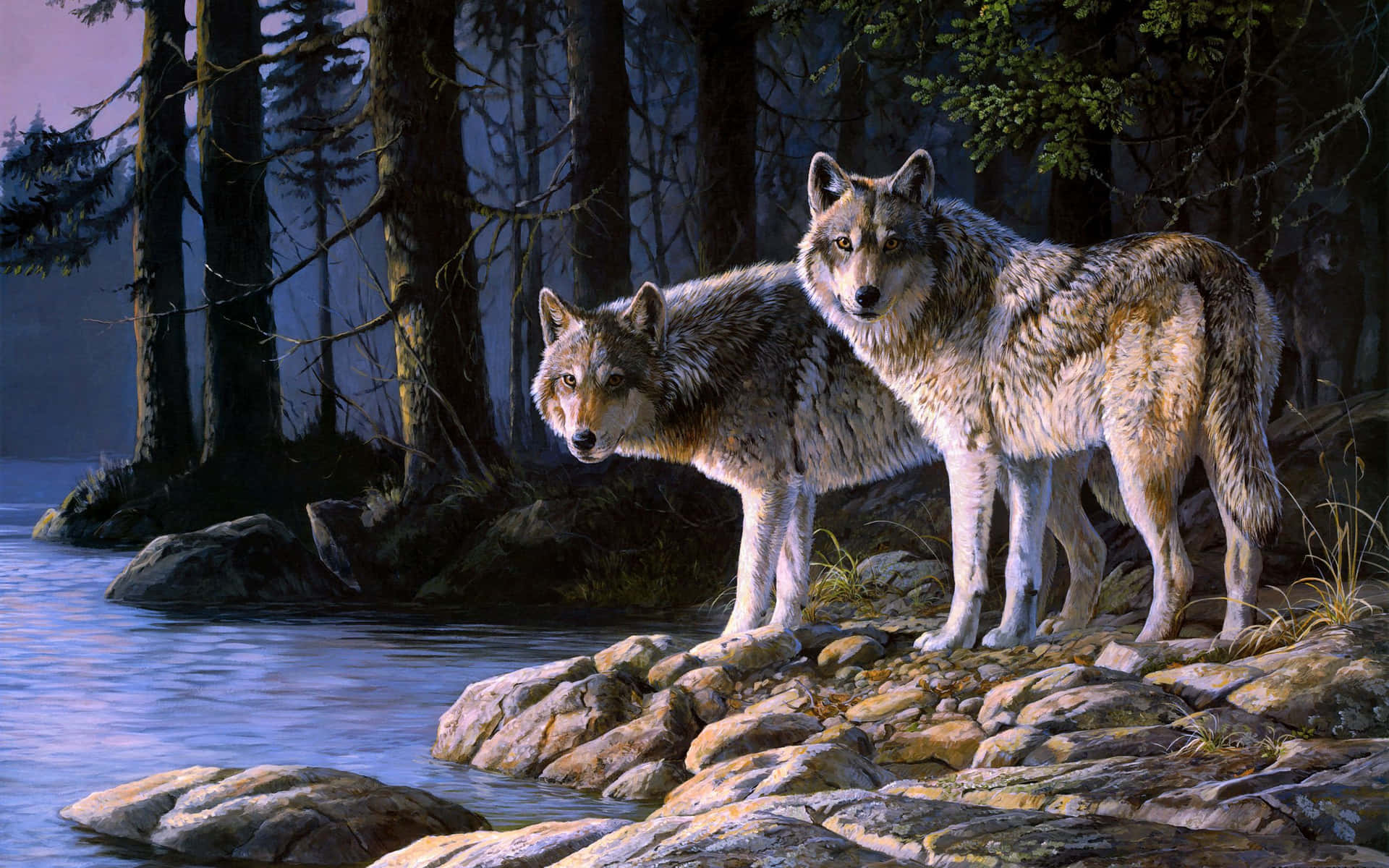 Cute Wolves Near River Wallpaper