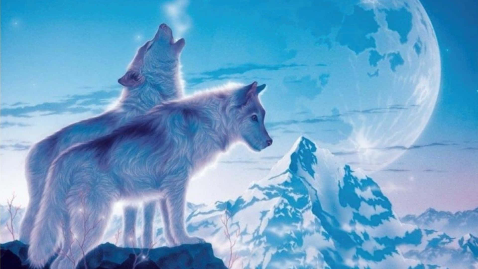 "Sisterly Love: Two Wolves Enjoy a Moment Together" Wallpaper
