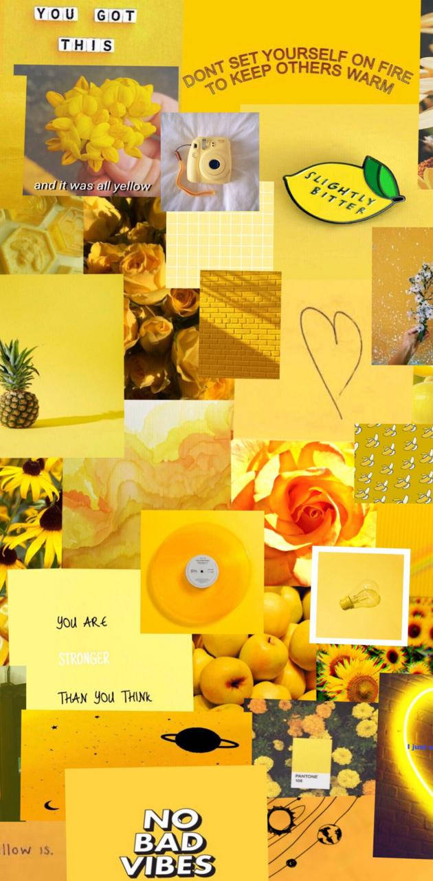 Entdeckedie Schönheit Eines Niedlichen Gelben Ästhetik Wallpaper