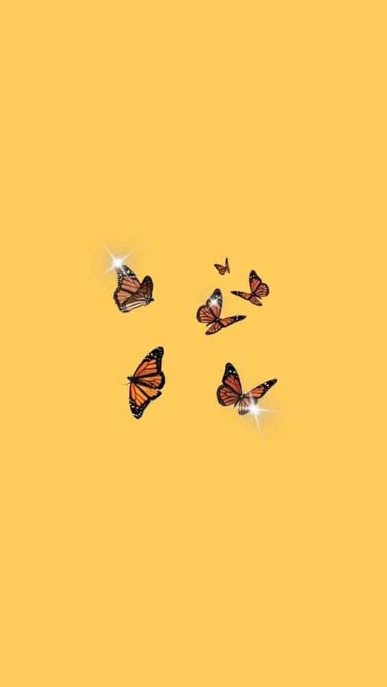 Sötagula Svarta Orange Fjärilar. Wallpaper