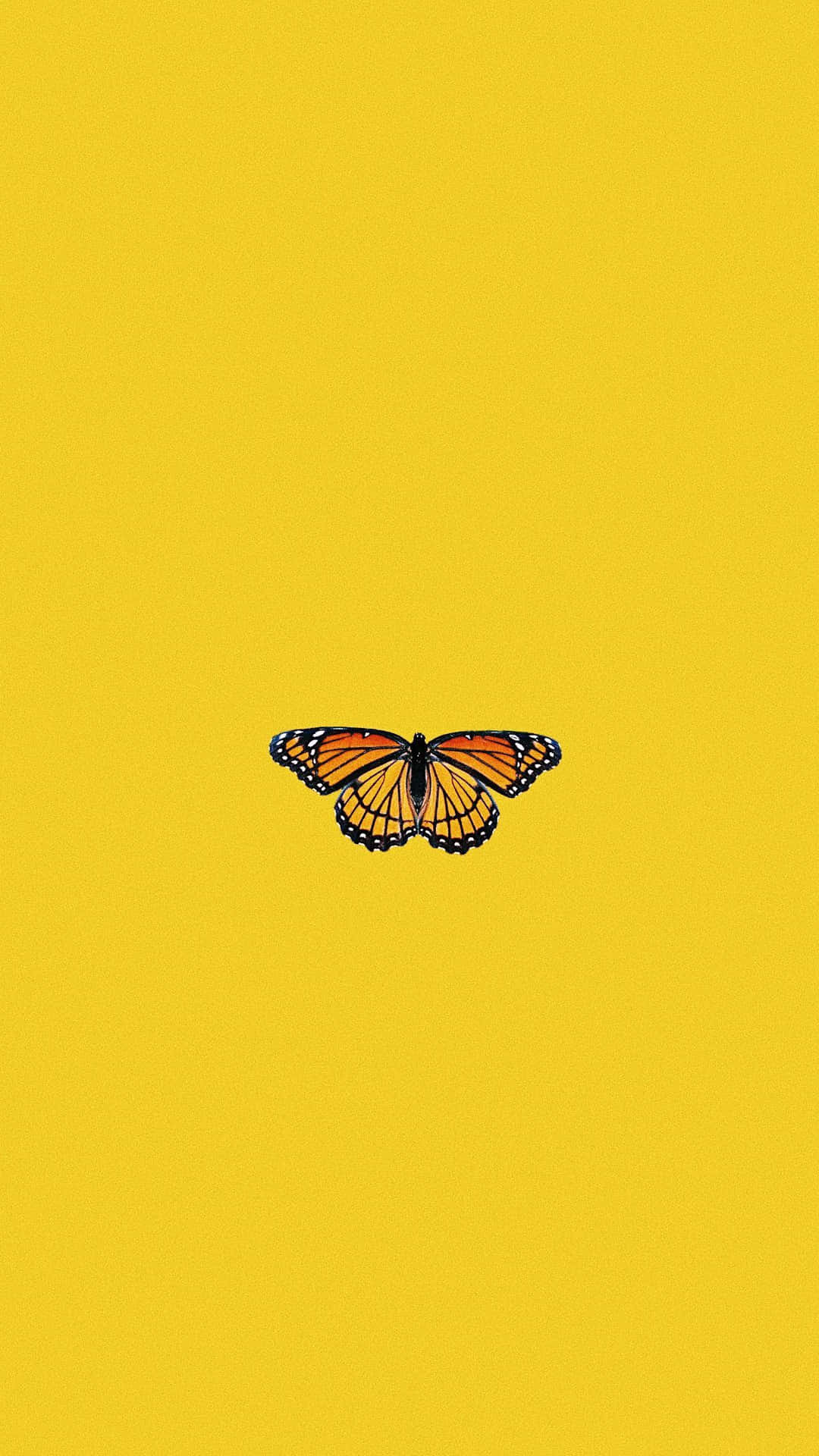 Bilddrei Niedliche Gelbe Schmetterlinge Fliegen In Der Natur. Wallpaper