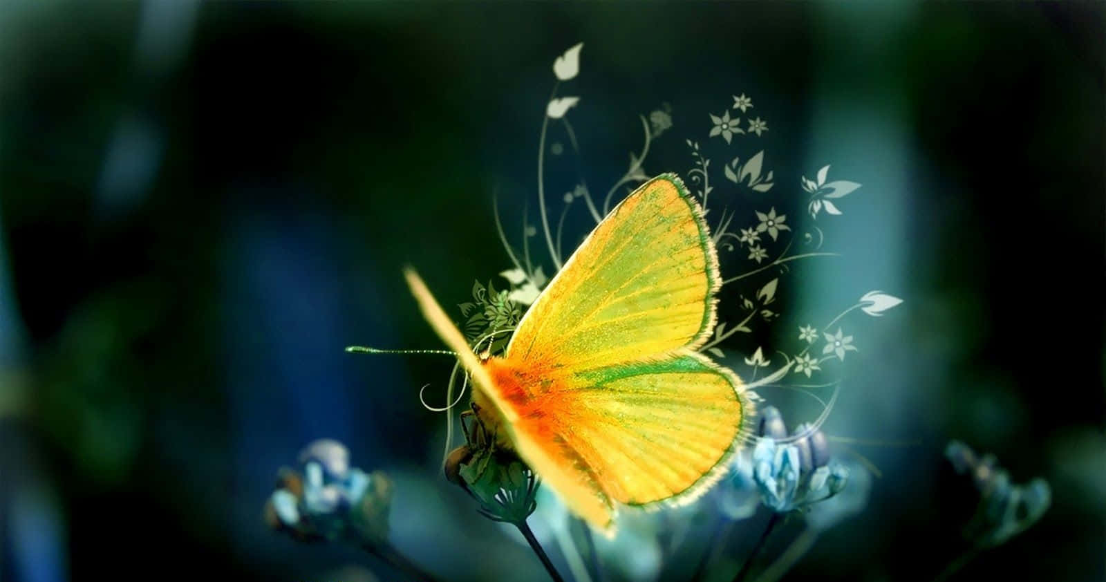 Helleund Schöne Niedliche Gelbe Schmetterlinge. Wallpaper