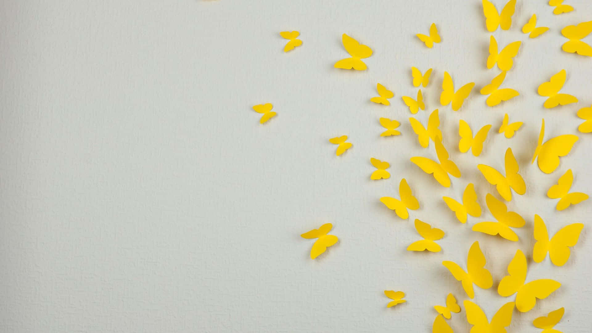 "Two Beautiful Yellow Butterflies in Flight" Wallpaper