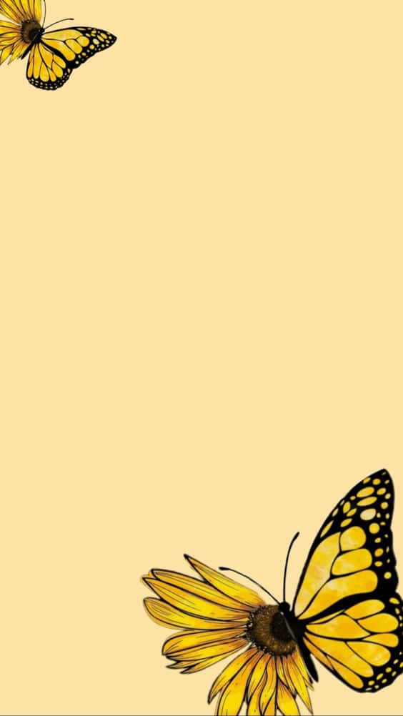 Sötagula Fjärilar Blomma Wallpaper