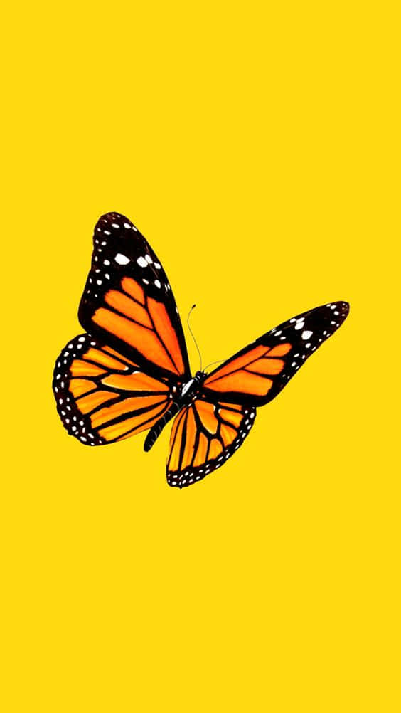 Bewunderedie Schönheit Dieser Lebendigen Gelben Schmetterlinge! Wallpaper