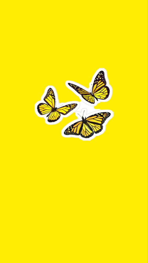 Färggladaoch Charmiga Gula Fjärilar Wallpaper