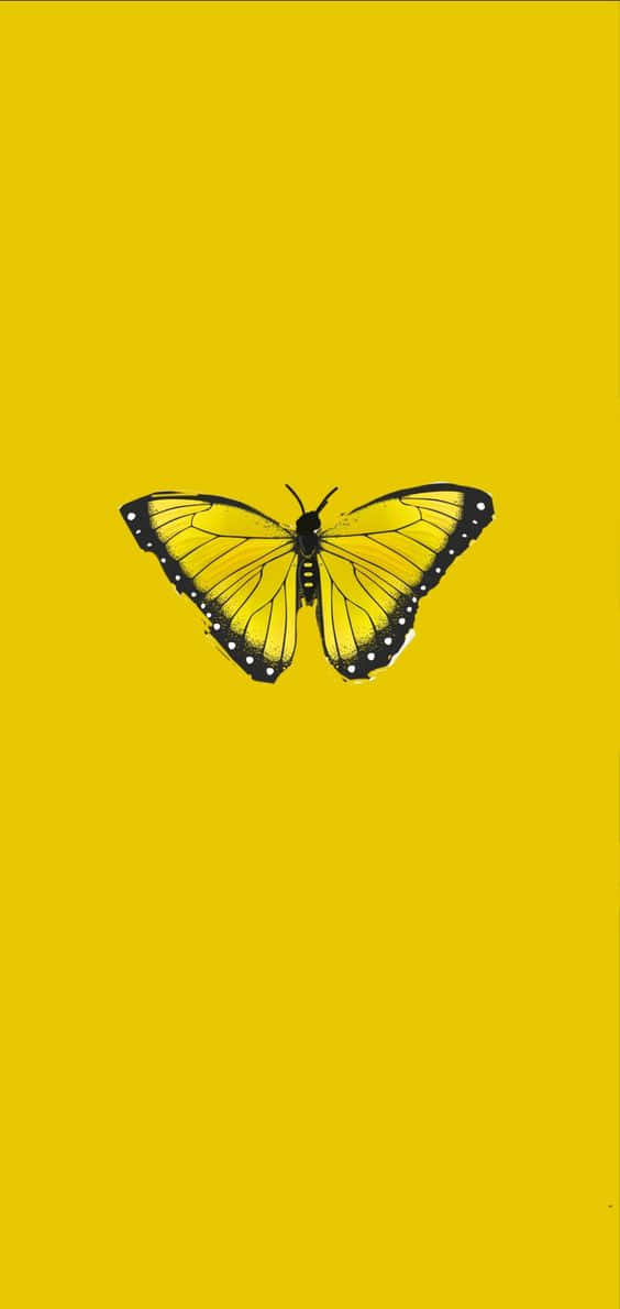 Freudean Diesen Leuchtend Bunten Niedlichen Gelben Schmetterlingen! Wallpaper