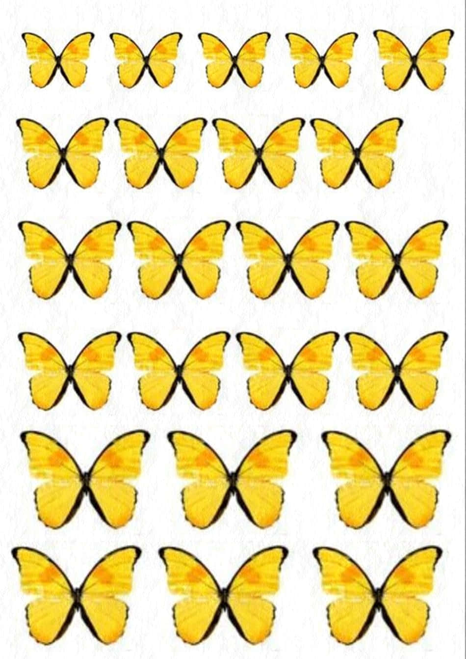Lyse op din dag med søde gule sommerfugle Wallpaper
