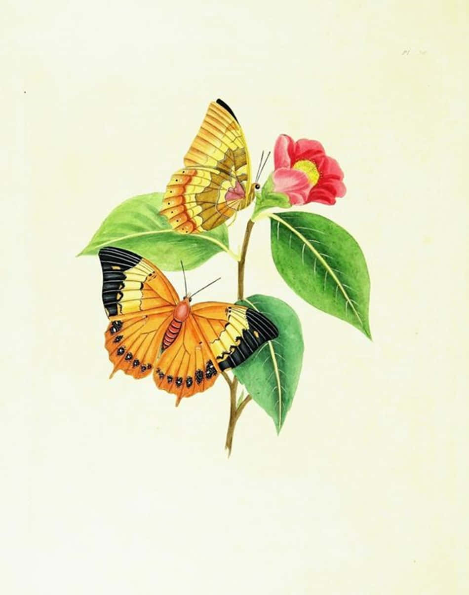 Mariposascoloridas Revoloteando Por Un Prado En Un Día Ventoso. Fondo de pantalla