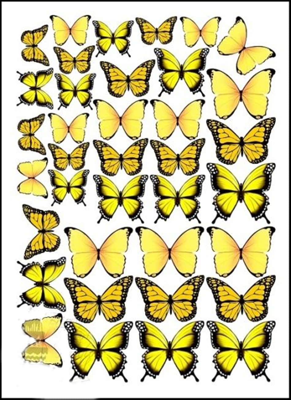 Take Flight With These Adorable Yellow Butterflies Wallpaper