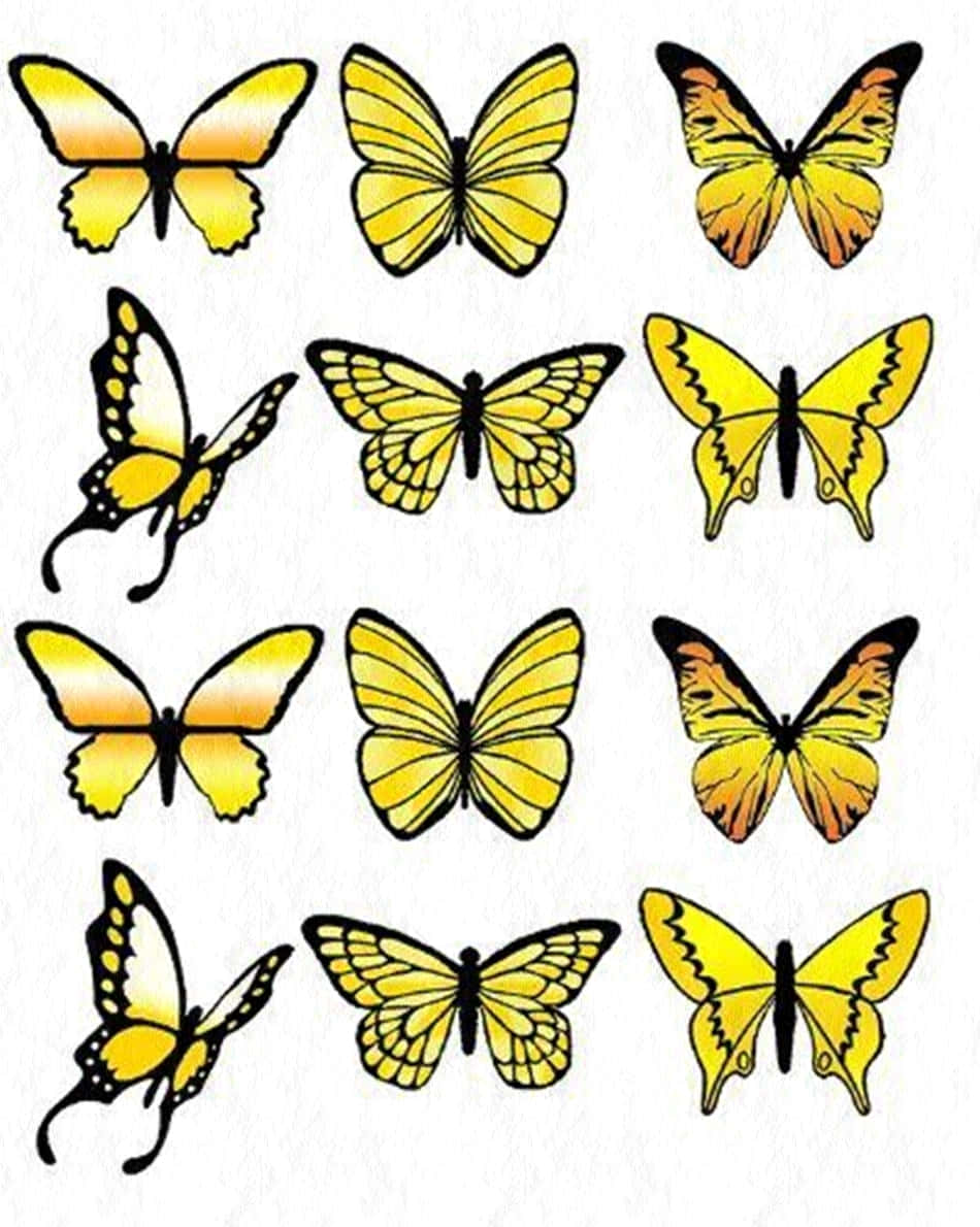 Delightful Yellow Butterflies Wallpaper