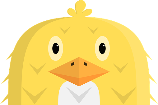 Cute Yellow Chick Cartoon PNG