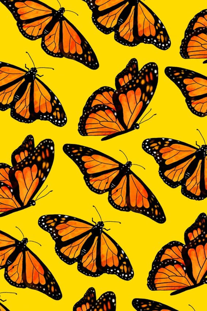 Sötagula Orangea Fjärilar. Wallpaper
