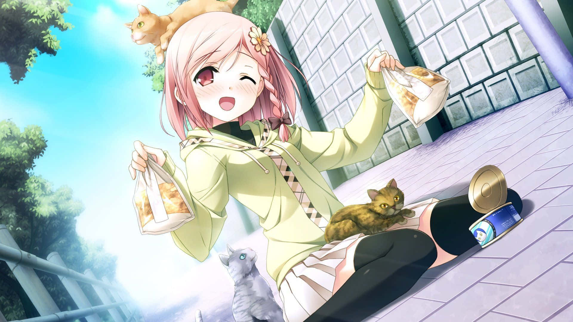 Cutecore Girl Feeding Cats Anime Art.jpg Wallpaper