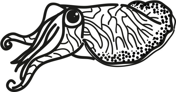 Cuttlefish_ Vector_ Illustration.png PNG