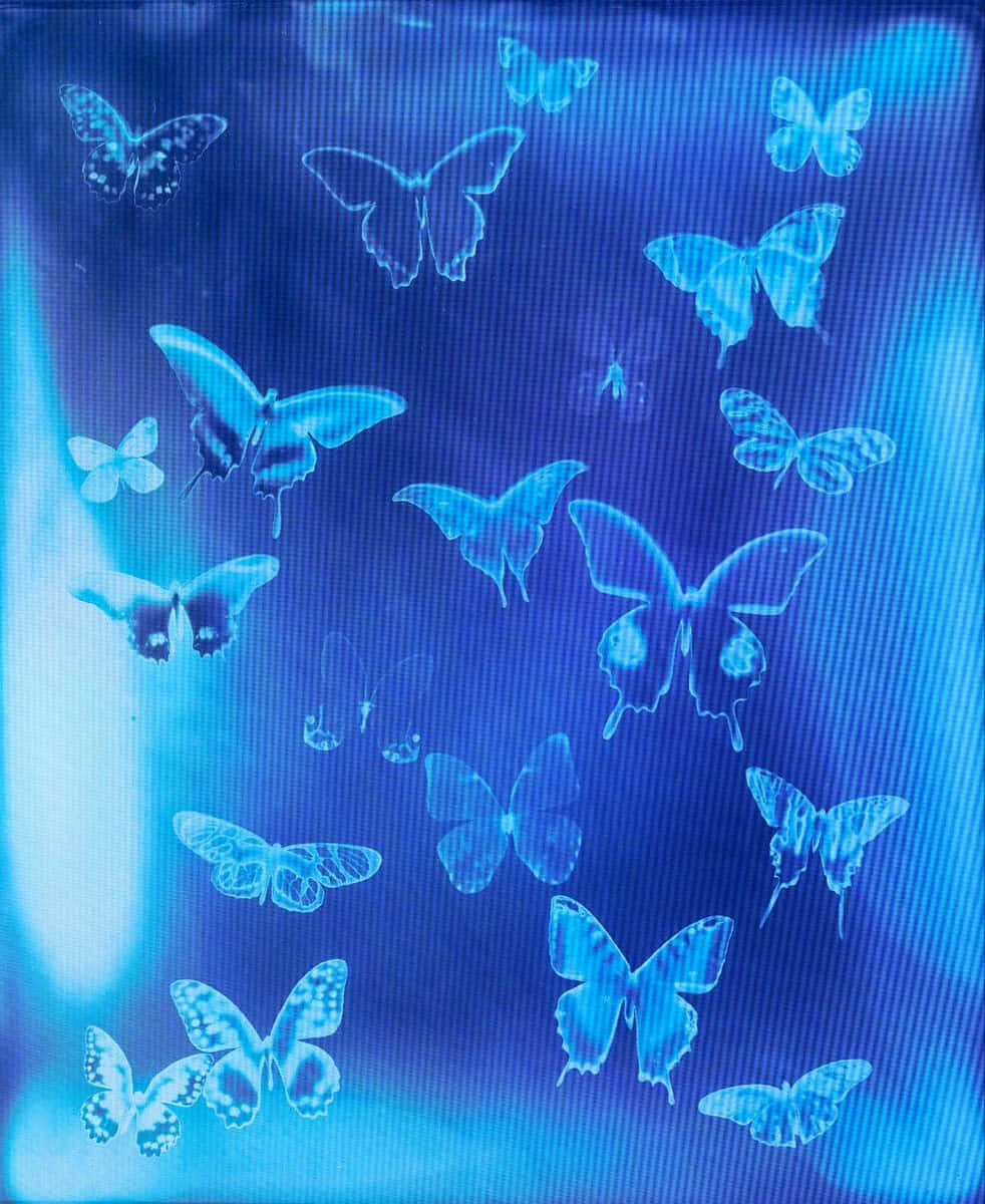 Cyber Butterfly Effect Wallpaper