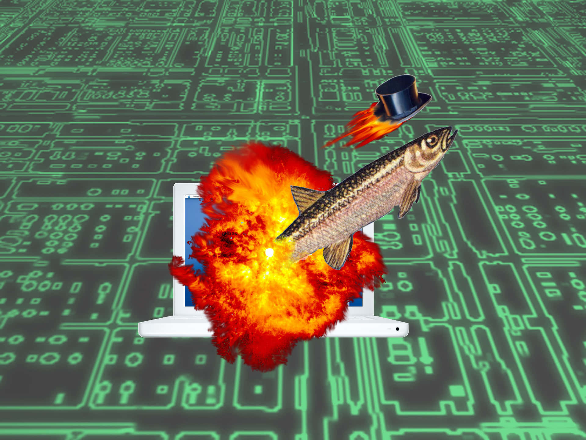 Cyber Fish Explosion Art Wallpaper