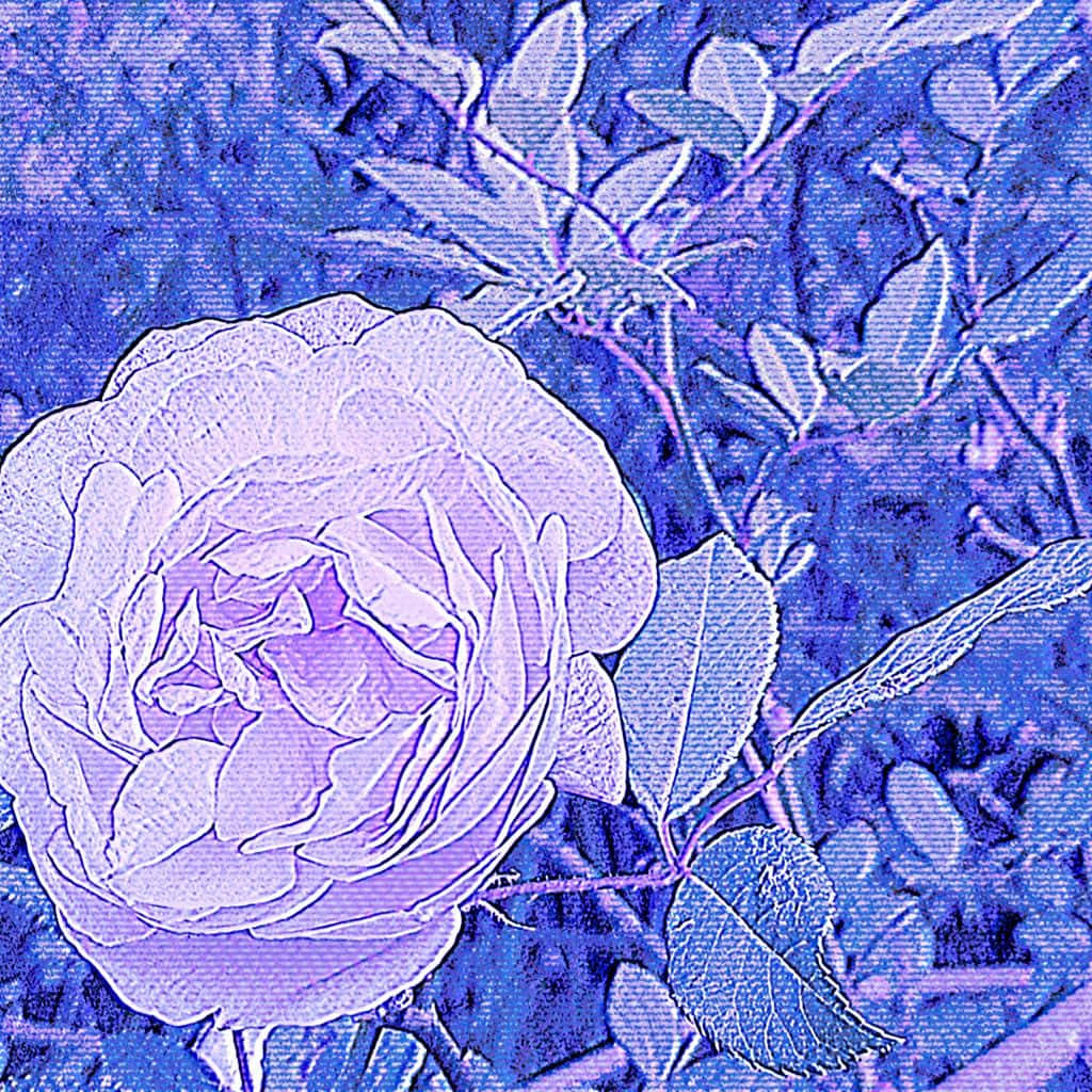 Cyber Purple Rose Y2 K Aesthetic.jpg Wallpaper