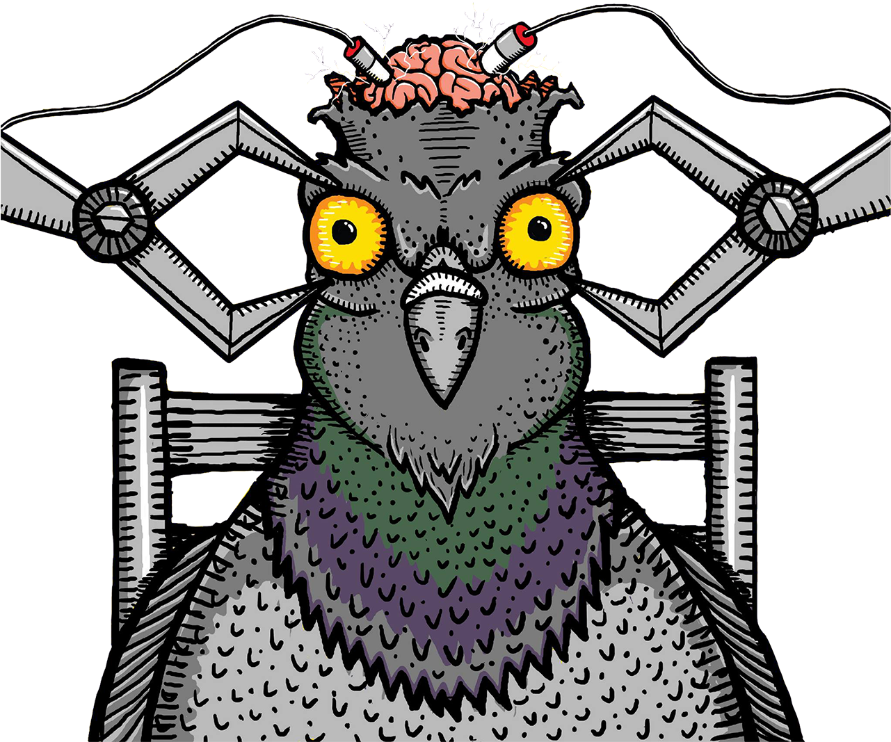 Cybernetic Pigeon Brain Experiment PNG
