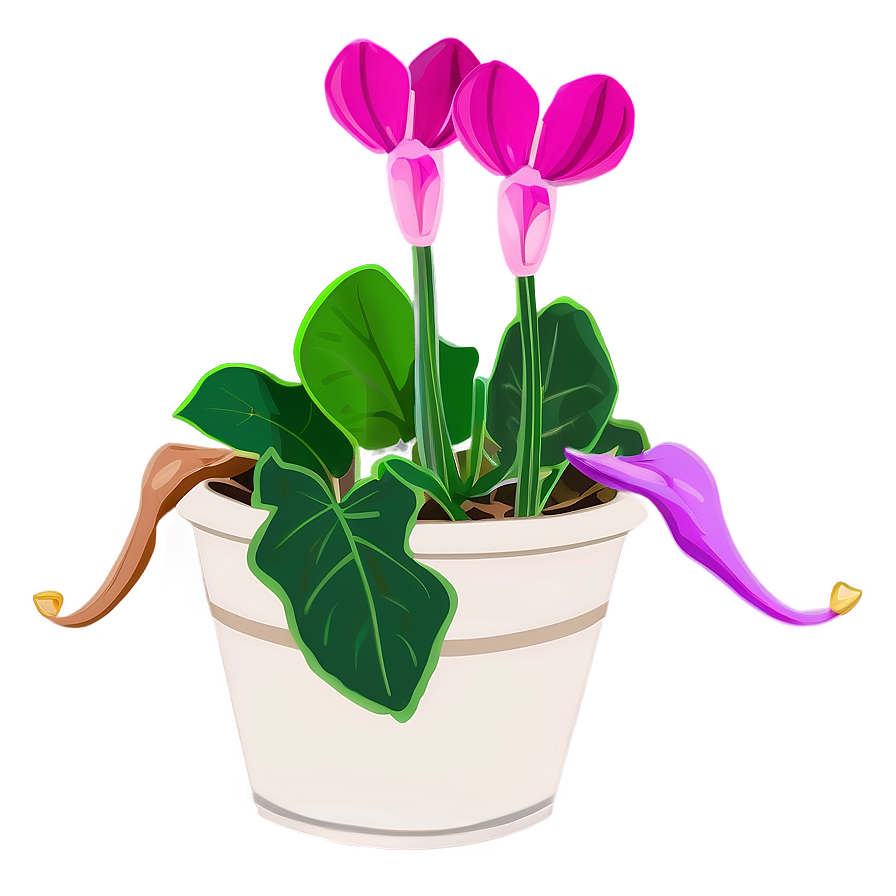 Cyclamen Flower Drawing Png 05252024 PNG