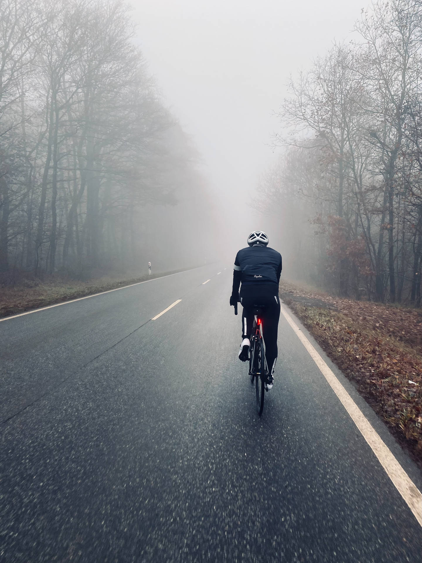Ciclismoen Camino Otoñal Con Niebla Fondo de pantalla