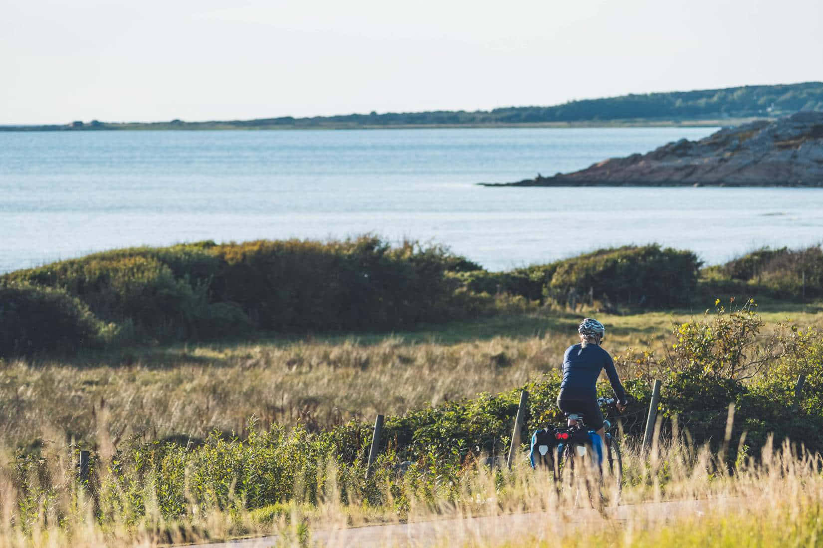 Cyclist Overlooking Coastline Halmstad Wallpaper