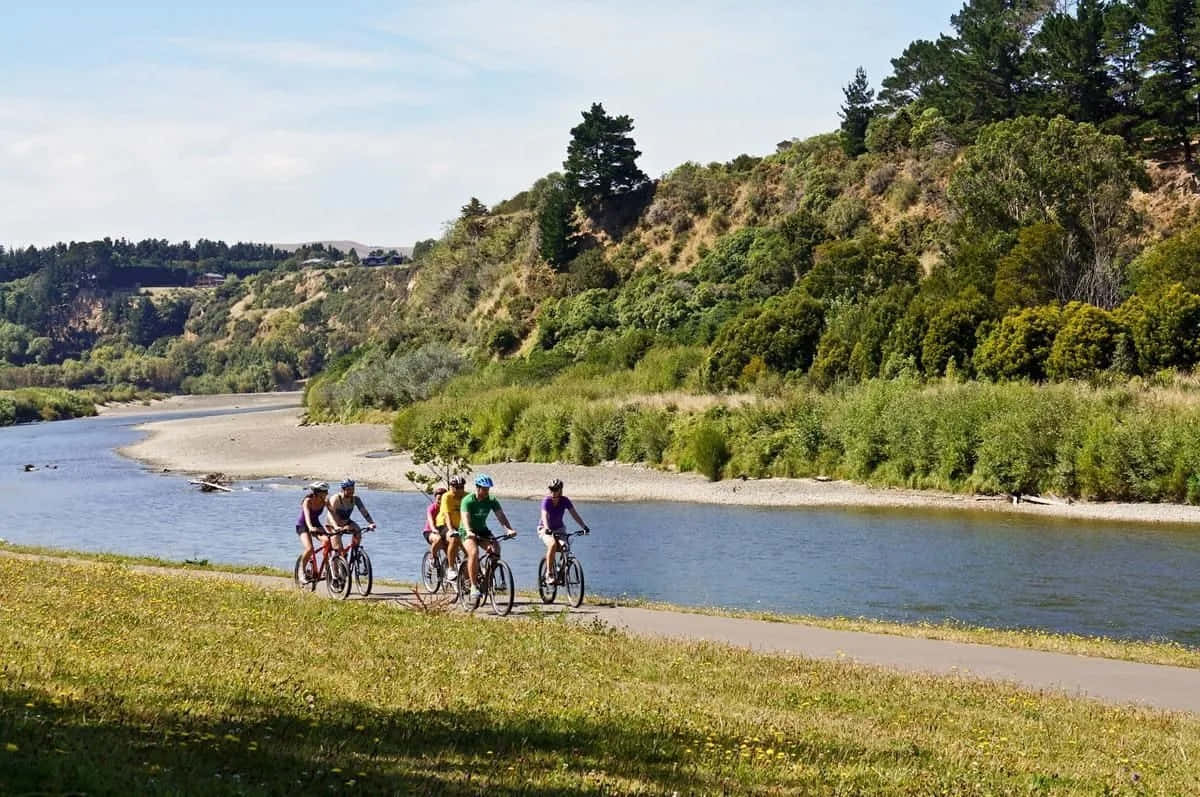 Cyclists By The River Palmerston North Wallpaper