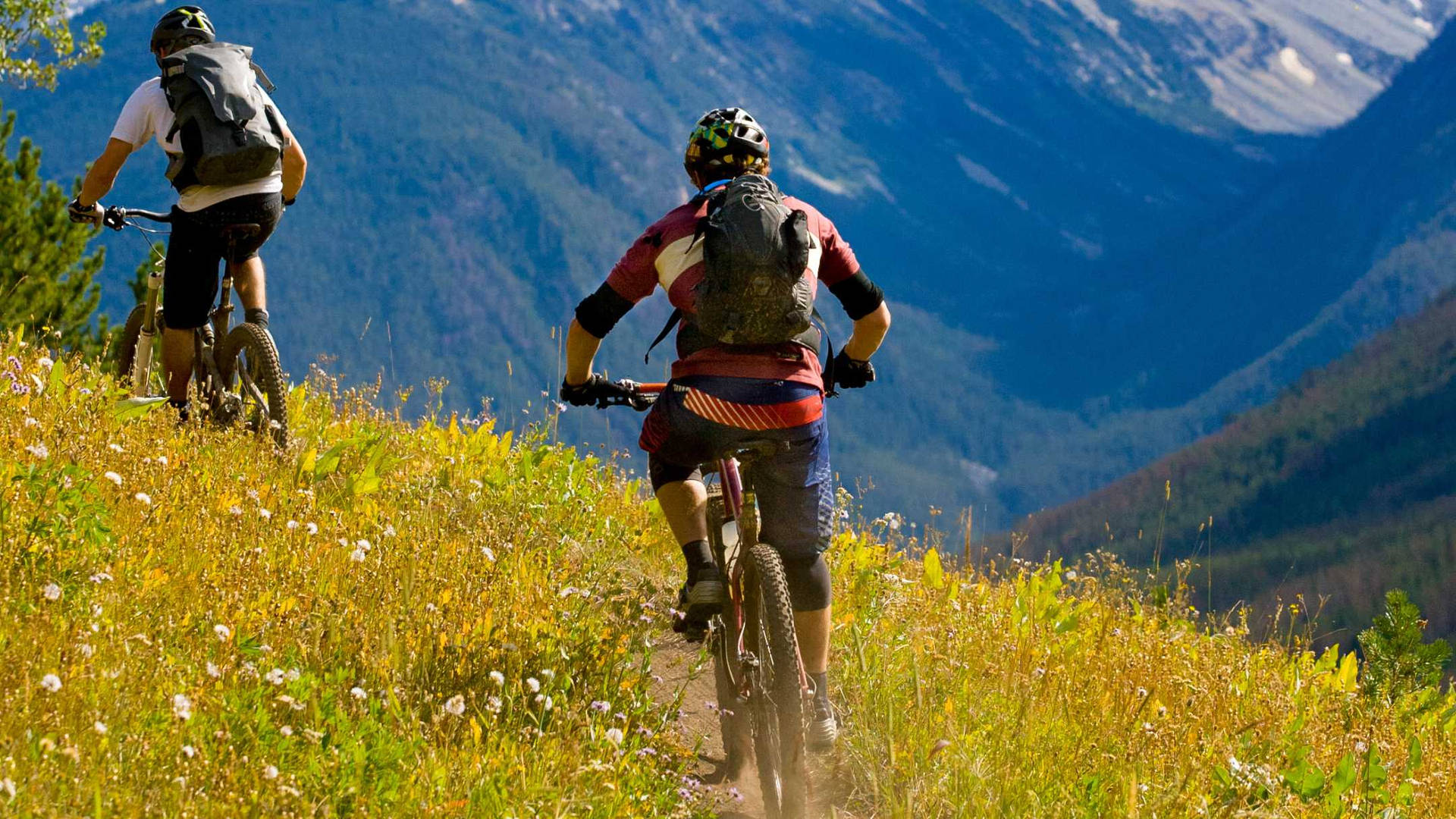 Cyclists Mountain Biking Hillside Terrain Wallpaper