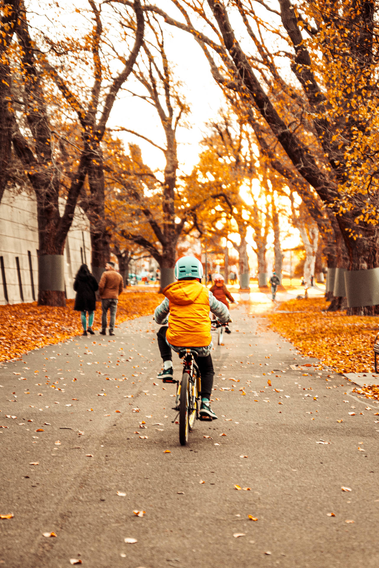 Cykel Elsker I Efteråret Wallpaper