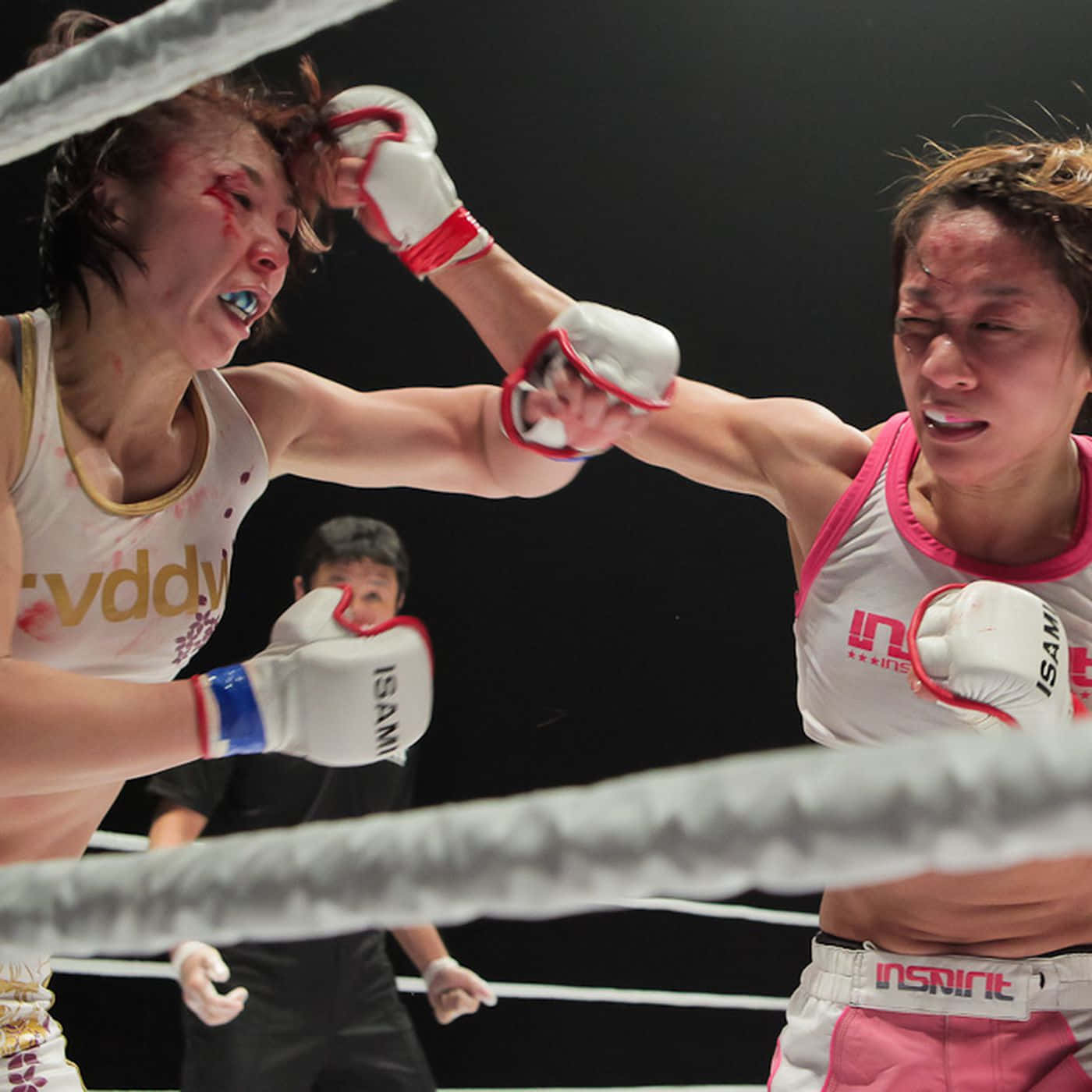 Megumi Fujii in her fighting stance. Wallpaper