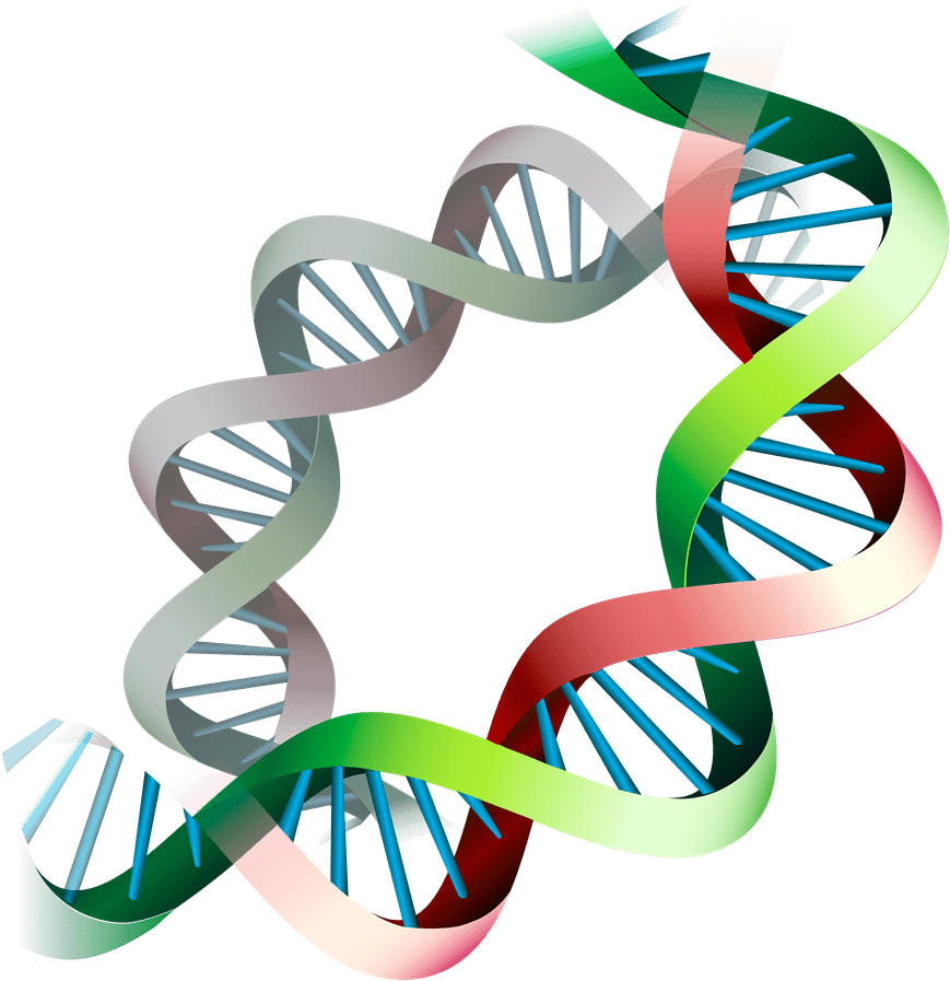 dna-double-helix-structure-on-craiyon