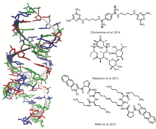 D N A Structureand Chemical Compounds PNG