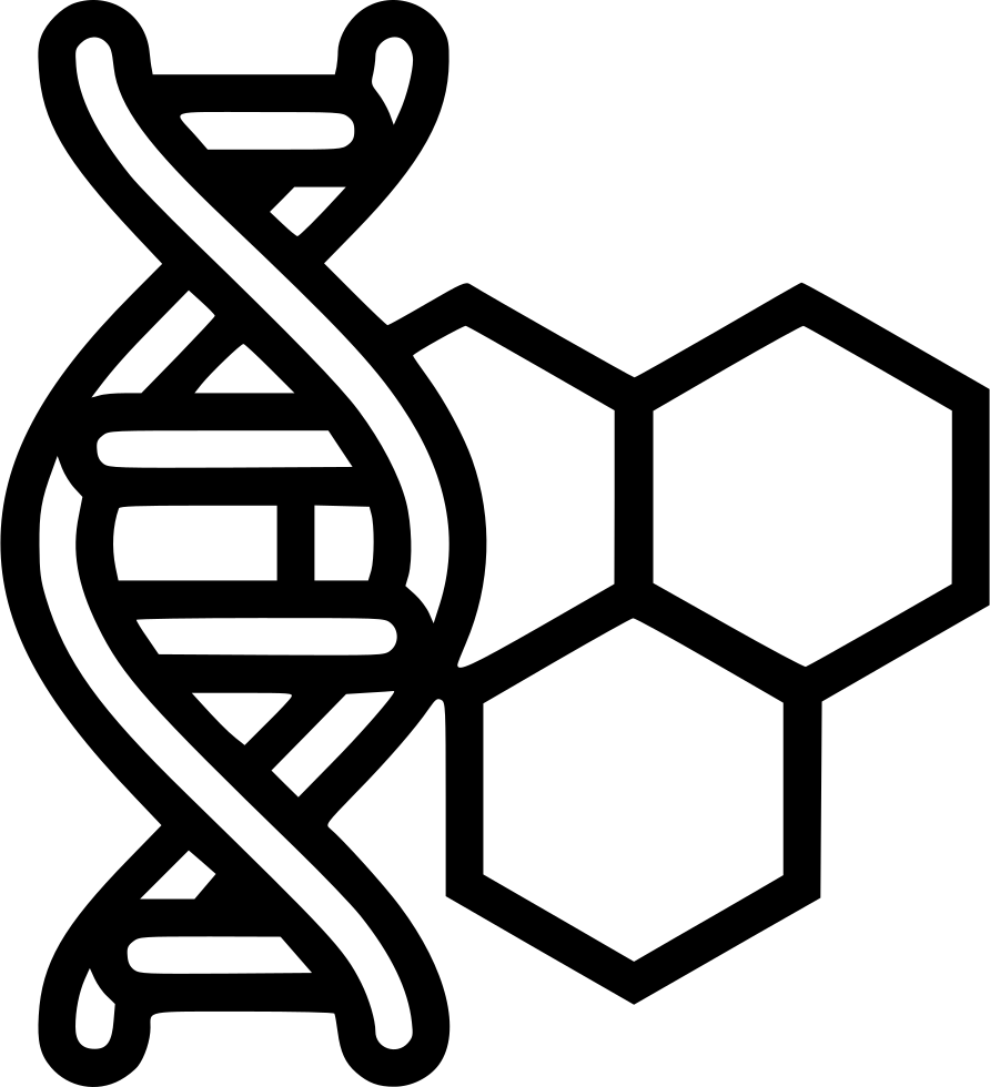 D N A Structureand Chemistry Icon PNG