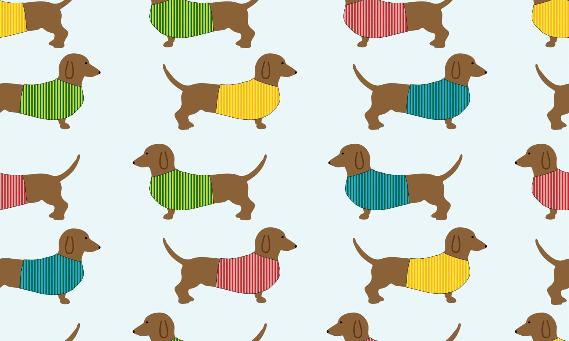Dachshunds In Different Colors On A Blue Background