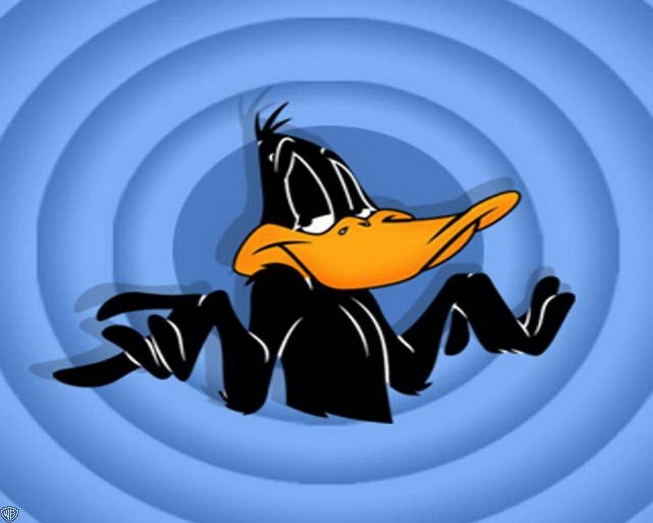 Daffy Duck Shrug Pose Wallpaper
