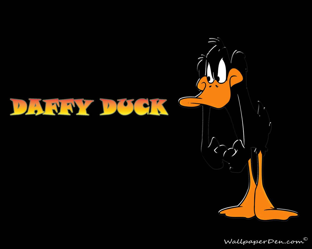 Daffy Duck doing his signature Looney TunesCartoon Quack Wallpaper
